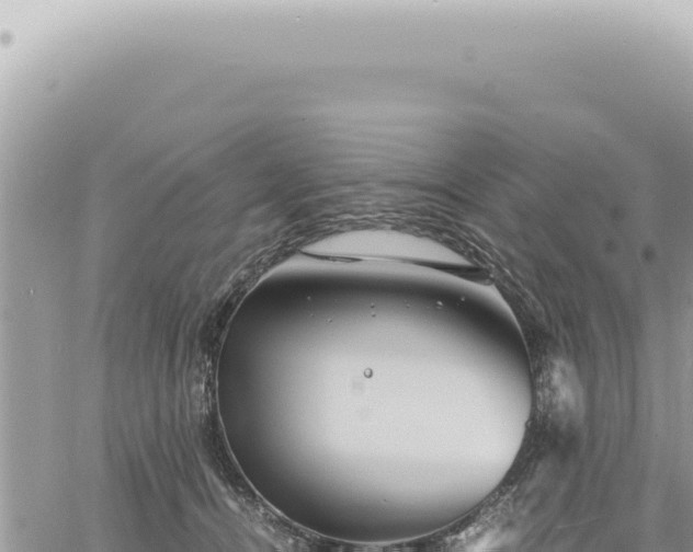 X0000060770464200511171218