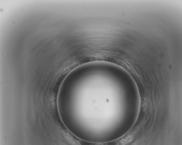 X0000060770466200511171218