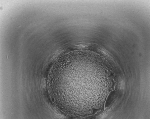 X0000060770467200511171218