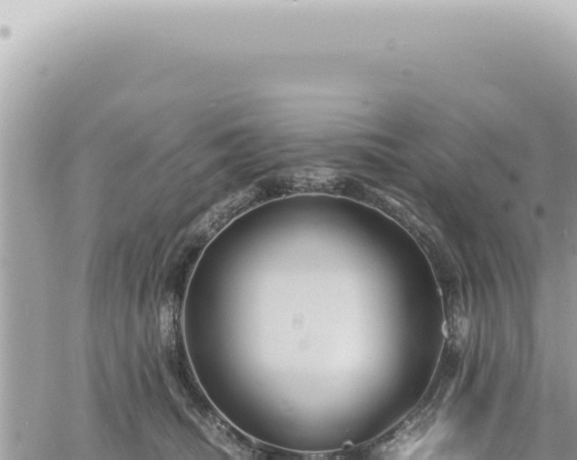 X0000060770468200511171218