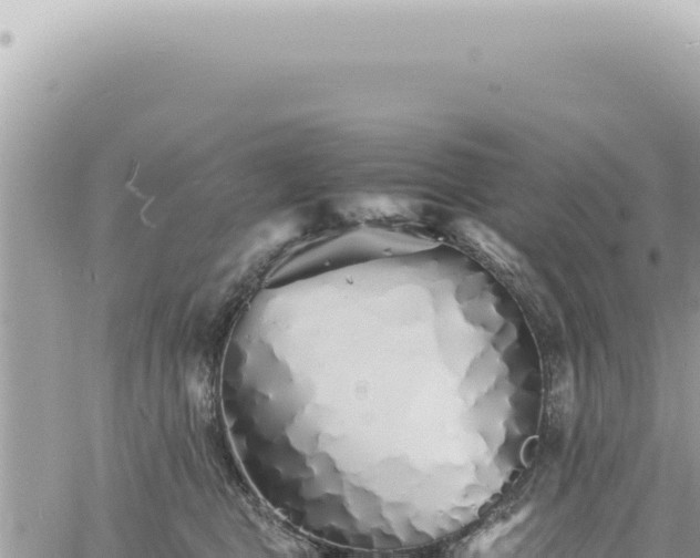 X0000060770469200511171218