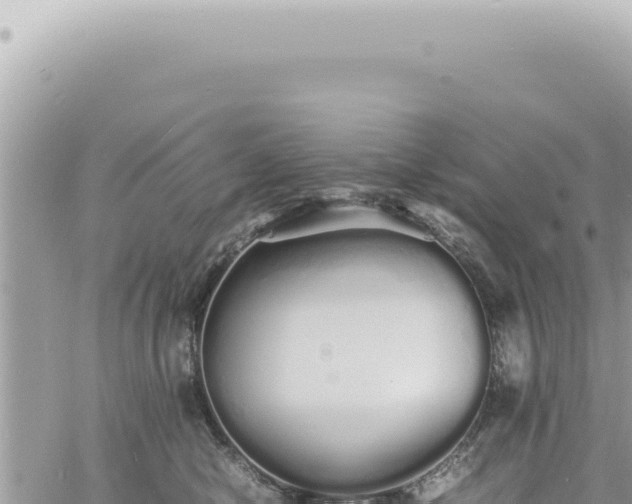 X0000060770470200511171218