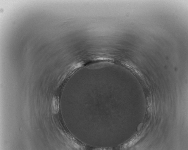 X0000060770471200511171218