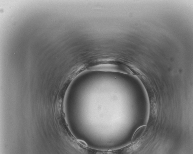 X0000060770475200511171218