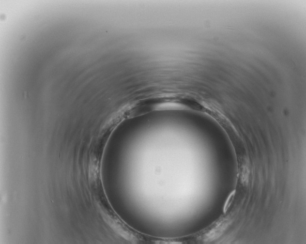 X0000060770476200511171218