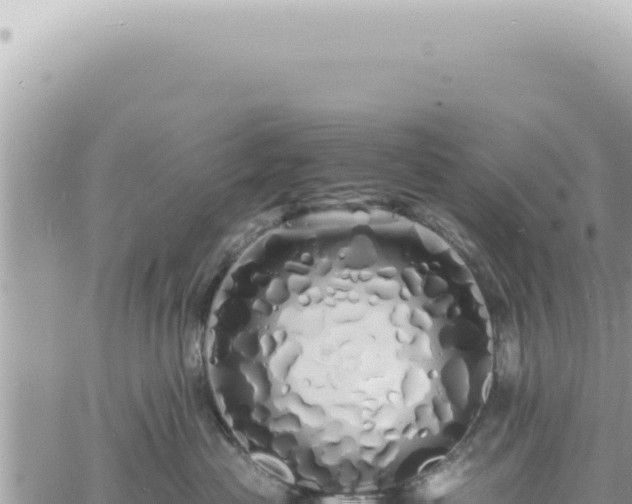 X0000060770477200511171218