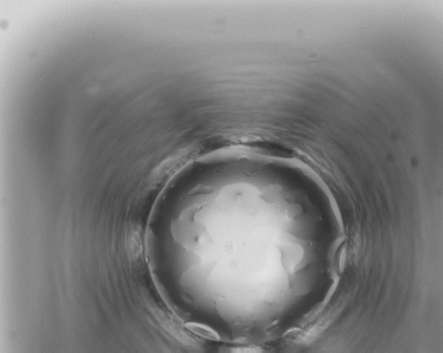 X0000060770478200511171218