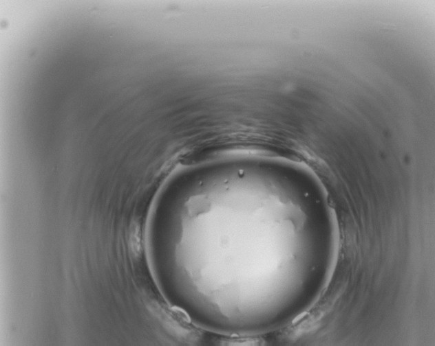 X0000060770479200511171218