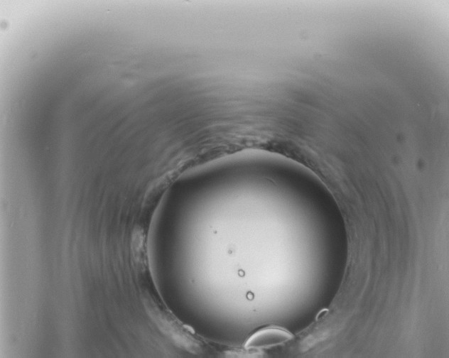 X0000060770480200511171218