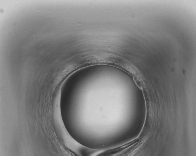 X0000060770481200511171217