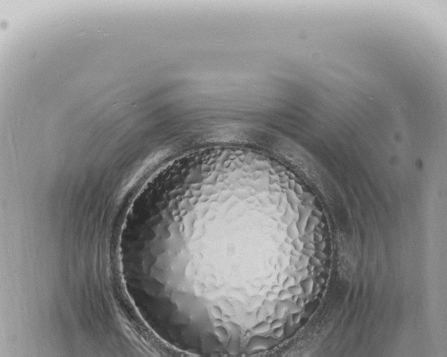 X0000060770482200511171217