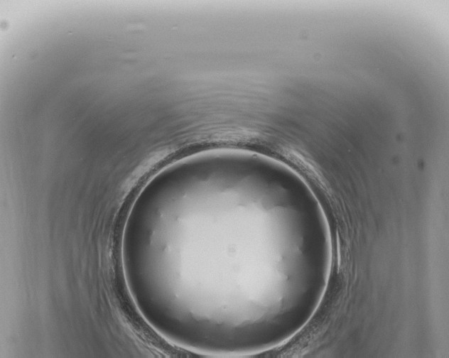 X0000060770483200511171217