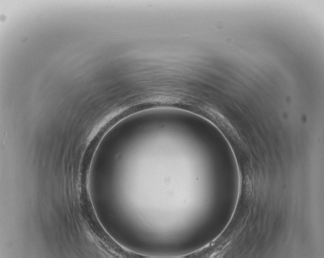 X0000060770484200511171217