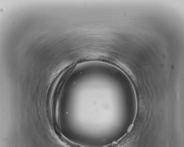 X0000060770485200511171217