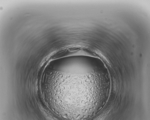 X0000060770486200511171217