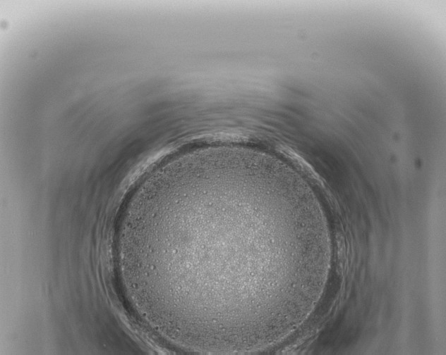 X0000060770487200511171217