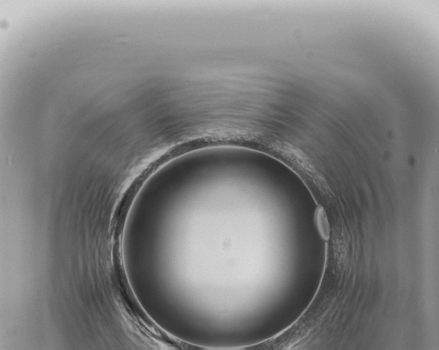 X0000060770488200511171217