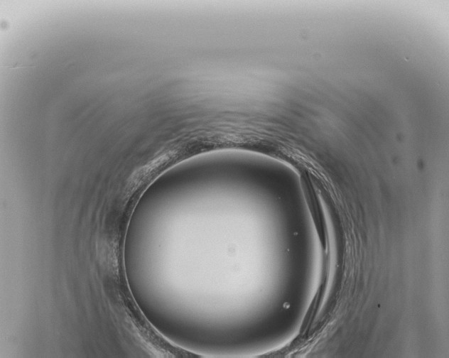 X0000060770489200511171217