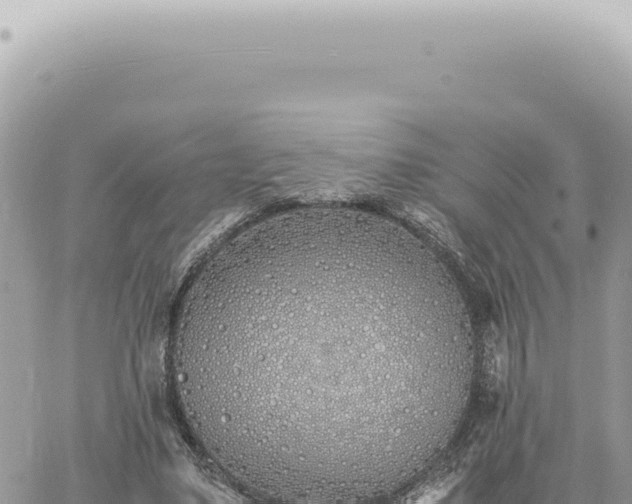 X0000060770491200511171217