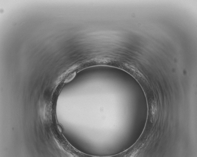 X0000060770492200511171217