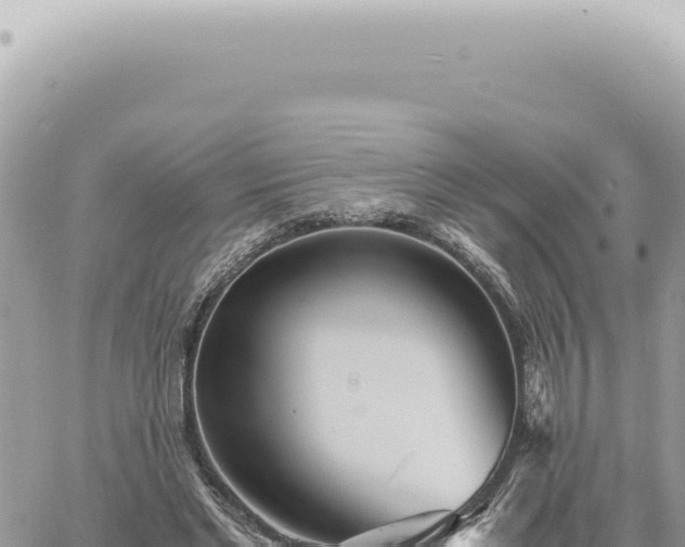 X0000060770493200511171217