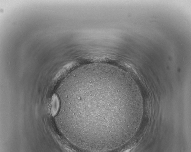 X0000060770495200511171217