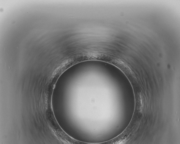 X0000060770496200511171217