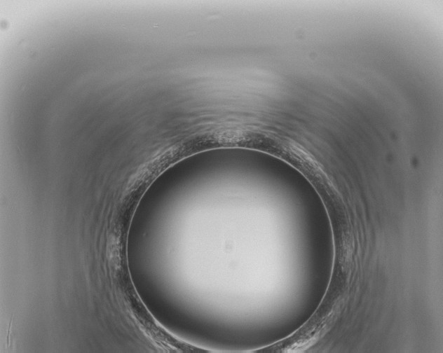 X0000060770497200511171217