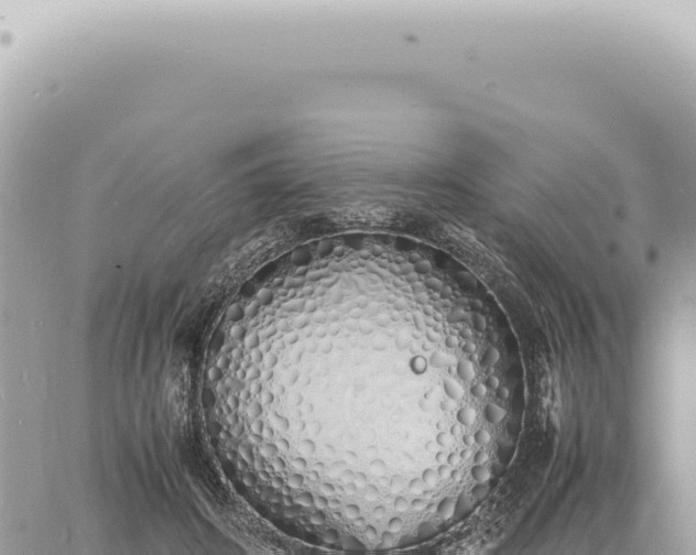 X0000060770498200511171217