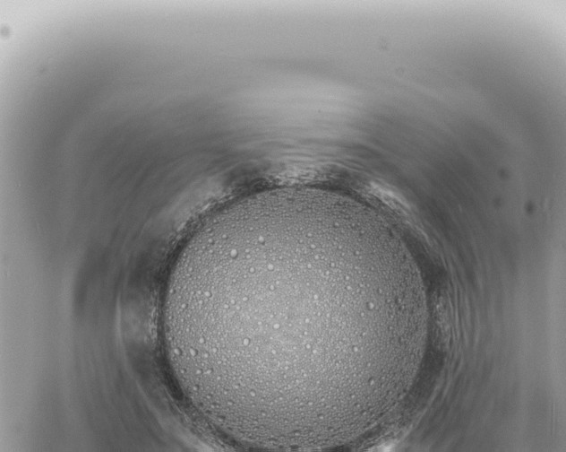 X0000060770499200511171217