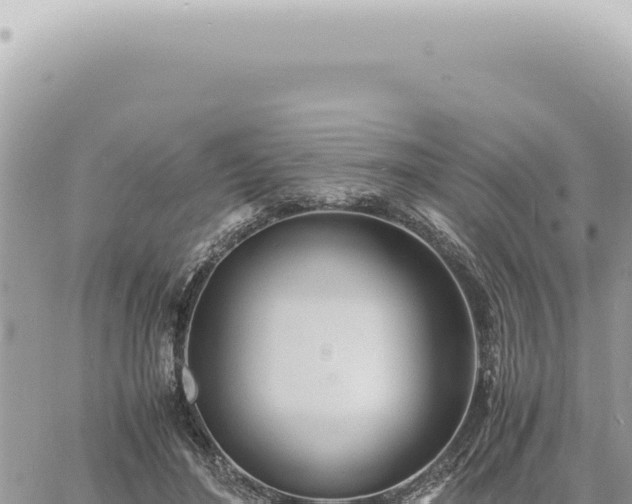 X0000060770500200511171217