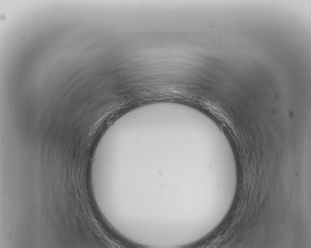 X0000060770501200511171217