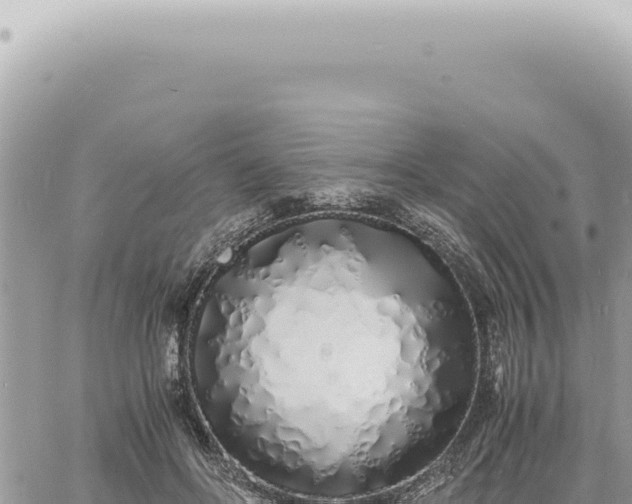 X0000060770502200511171217