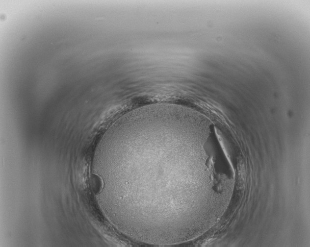 X0000060770503200511171217