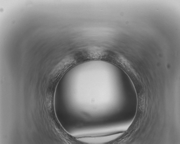 X0000060770505200511171217