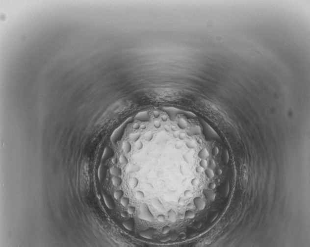 X0000060770506200511171217