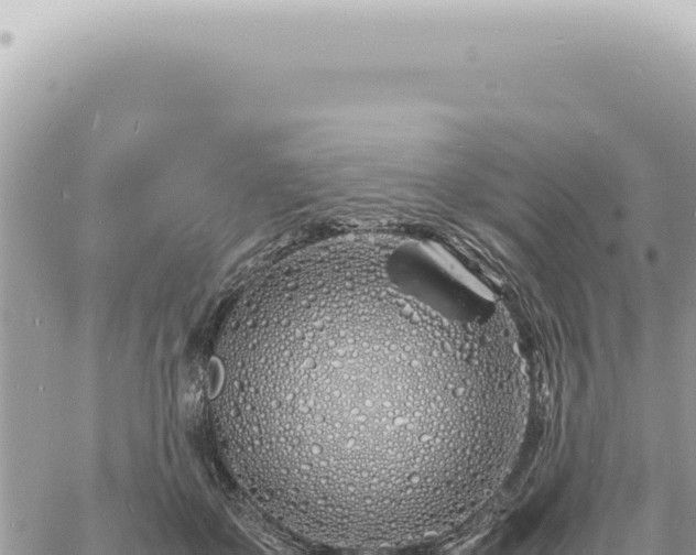 X0000060770507200511171217