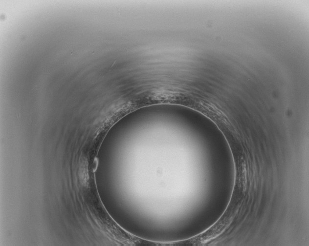 X0000060770508200511171217