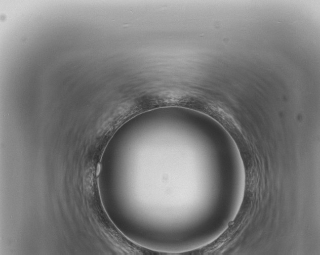 X0000060770509200511171217