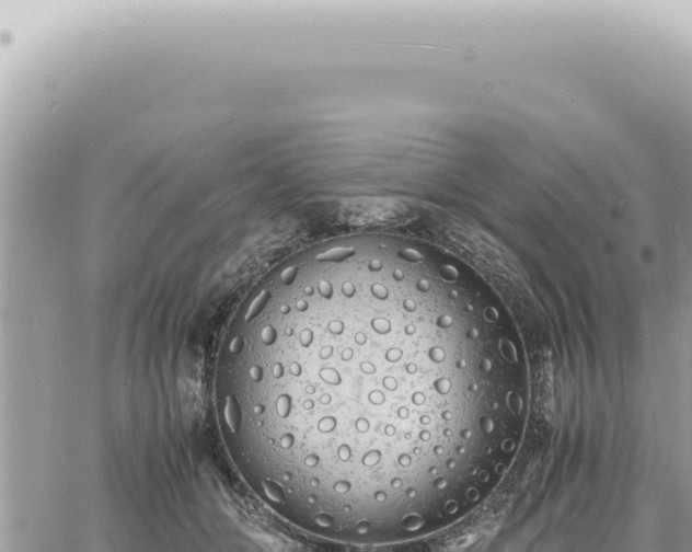 X0000060770510200511171217