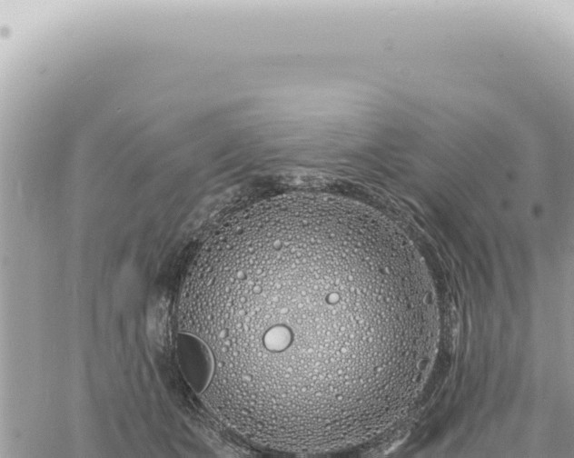 X0000060770511200511171217