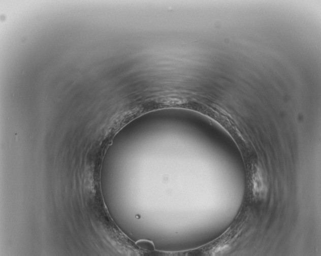 X0000060770512200511171217