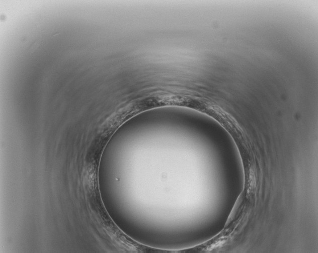 X0000060770513200511171217