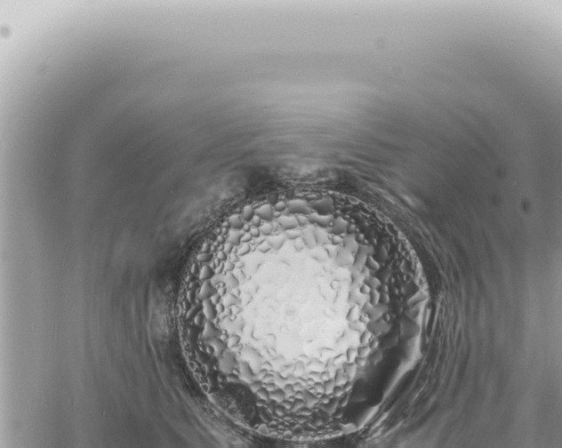 X0000060770515200511171216