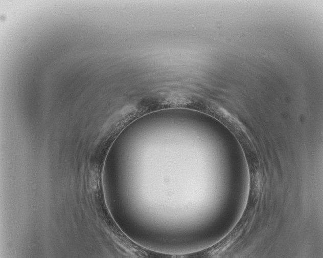 X0000060770517200511171216