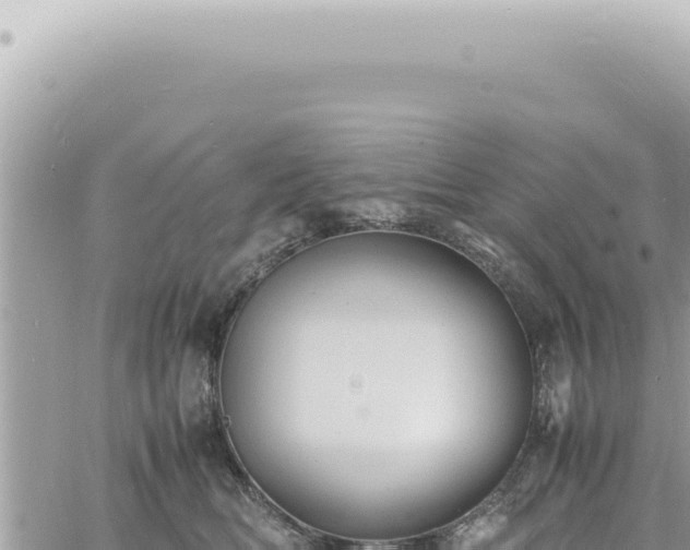 X0000060770518200511171216