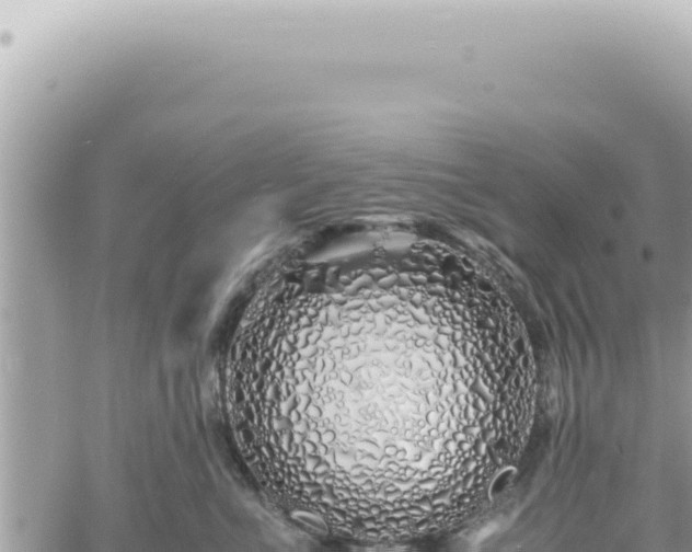 X0000060770523200511171216