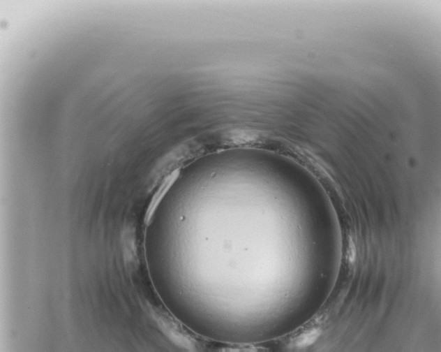 X0000060770524200511171216