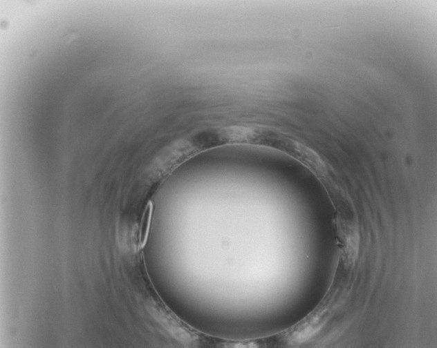 X0000060770525200511171216