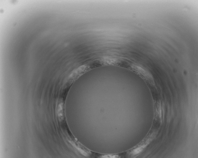 X0000060770526200511171216